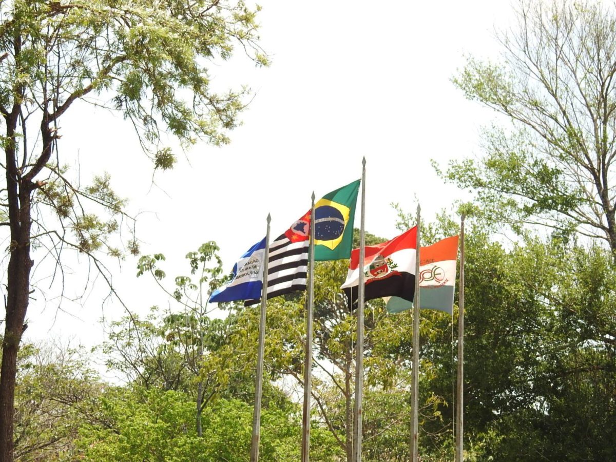 bandeiras