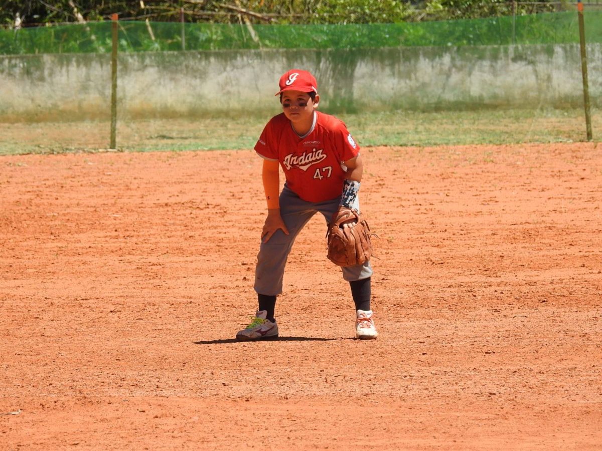 indaia-16